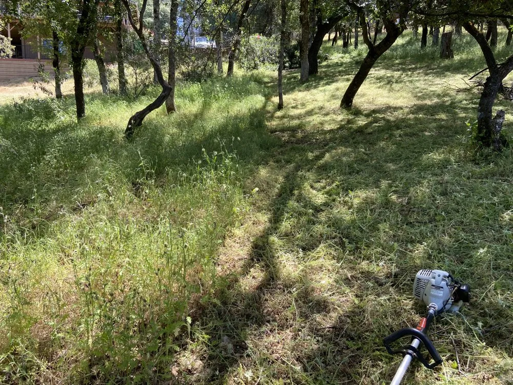 Professional lawn care service experts serving Lake Wildwood, CA - Hammer & Yard