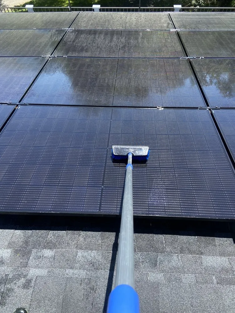 Reliable garden landscaping for residential properties across Lake Wildwood, CA - Hammer & Yard