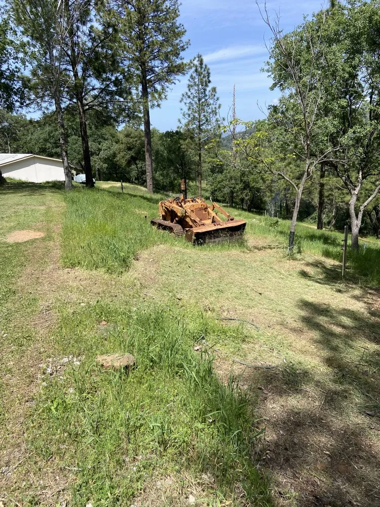 Custom garden landscaping for residential properties in Lake Wildwood, CA by Hammer & Yard