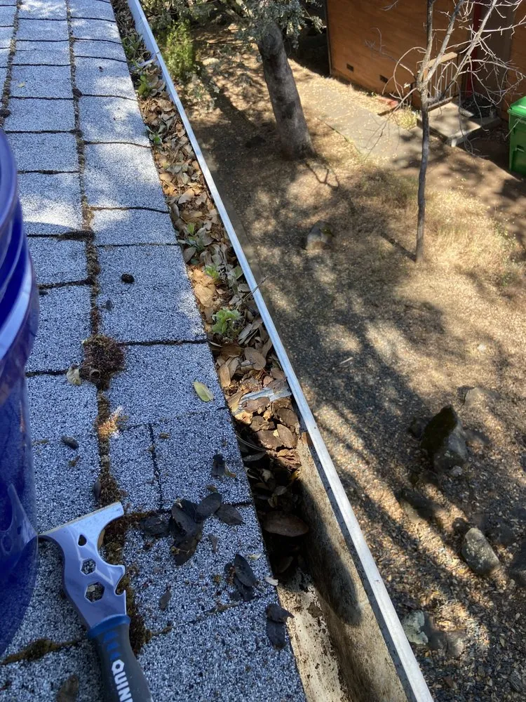 Affordable landscape design in Lake Wildwood, CA - Hammer & Yard