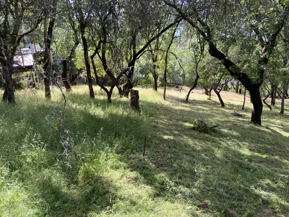 Custom landscaping services for beautiful yards in Lake Wildwood, CA by Hammer & Yard