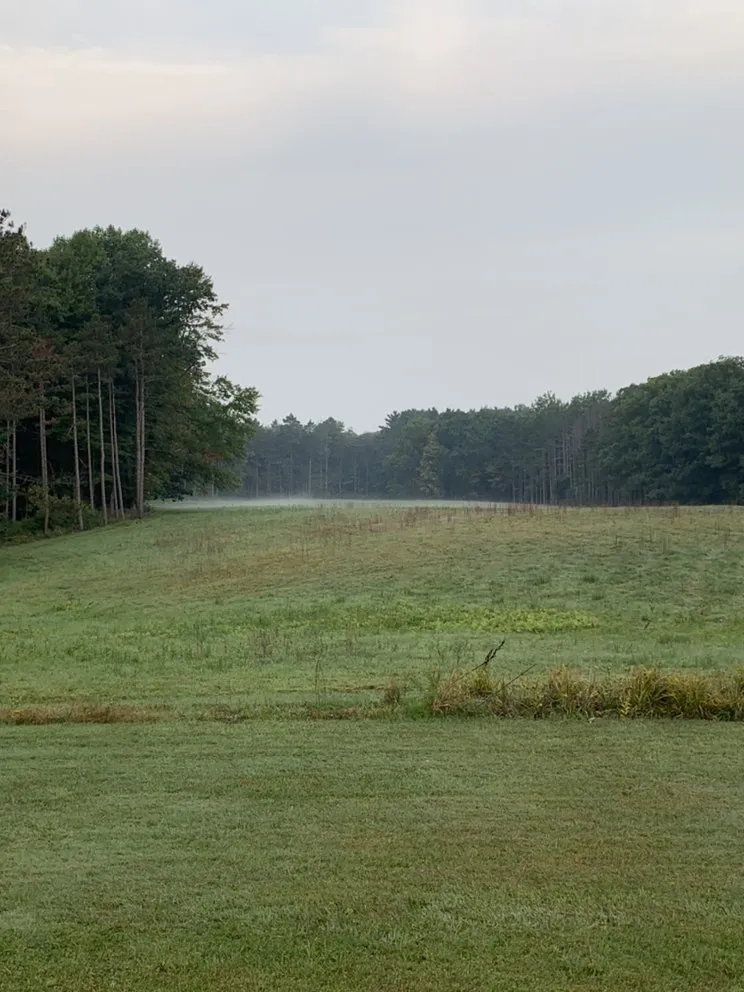 Local landscape installation experts serving Perry, OH - Hammer Down Industries