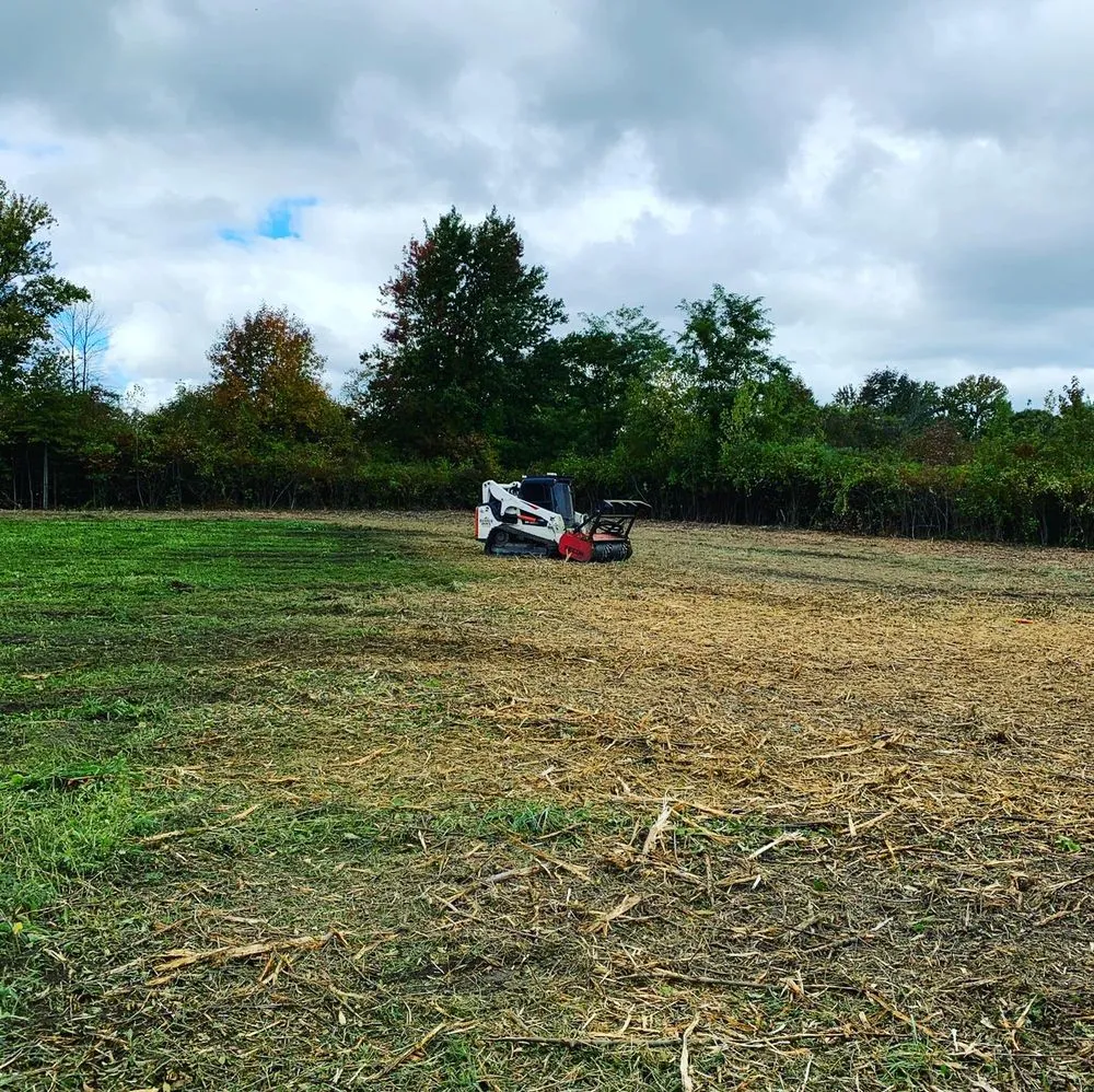 Expert lawn mowing service for beautiful yards across Perry, OH - Hammer Down Industries