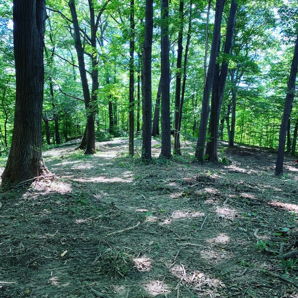 Custom garden landscaping with custom design in Perry, OH by Hammer Down Industries