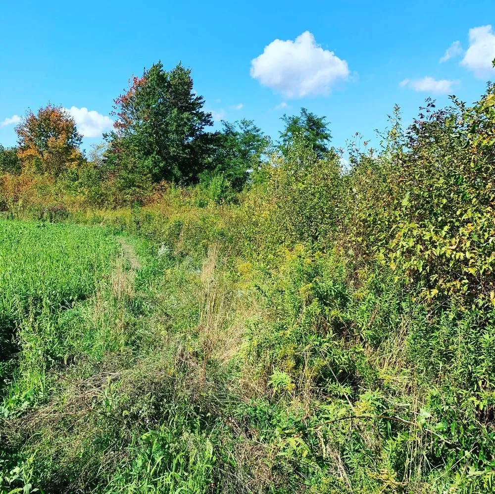 Expert landscape design in Perry, OH - Hammer Down Industries