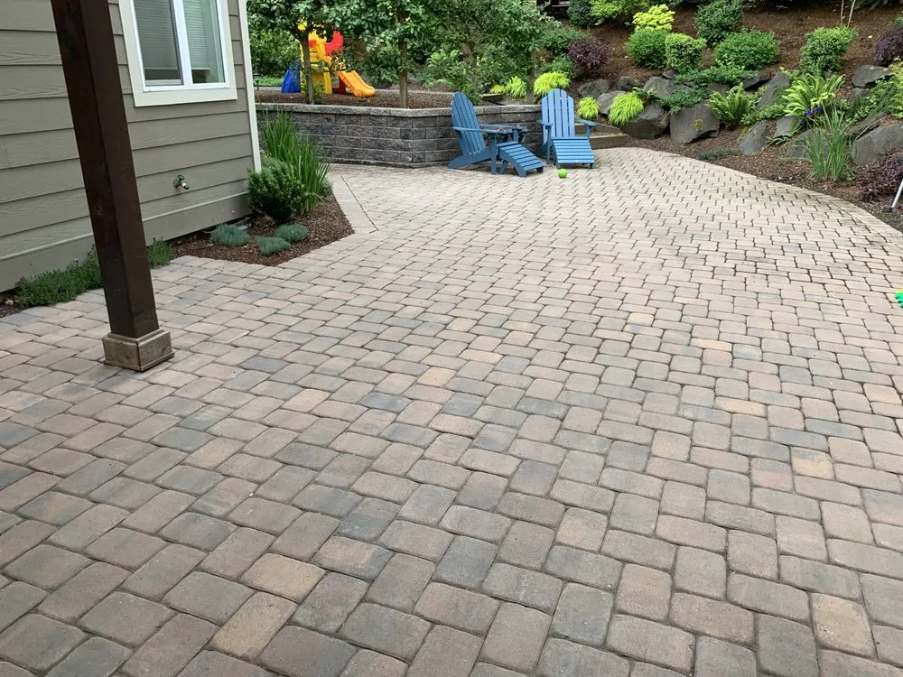 Reliable yard cleanup service for year-round maintenance across Eugene, OR - Hammer Landscape & Maintenance