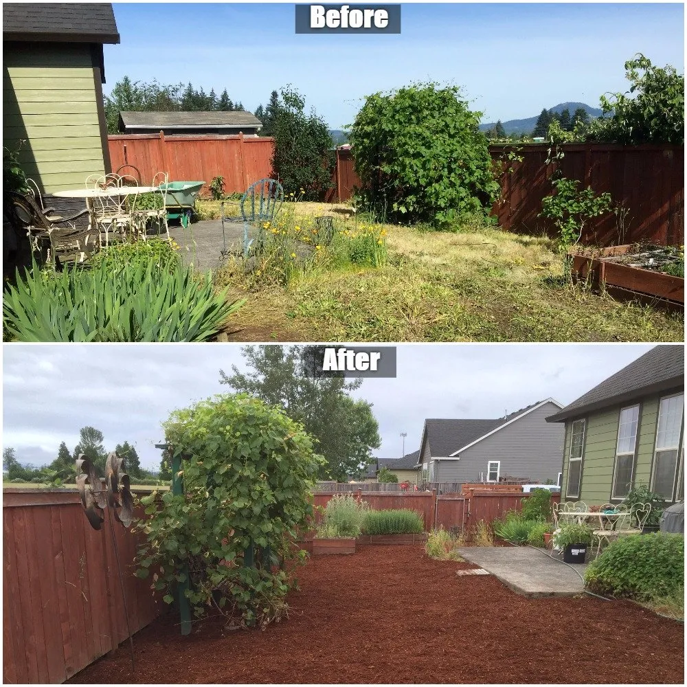 Professional landscaping services in Eugene, OR by Hammer Landscape & Maintenance