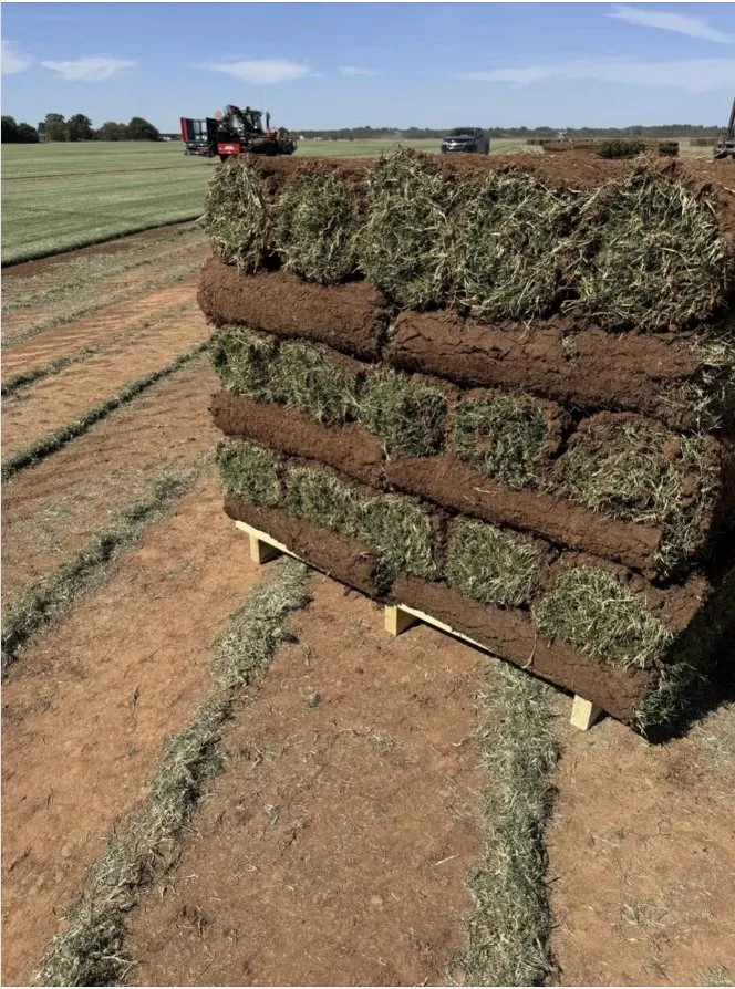 Expert landscape design for beautiful yards across Balch Springs, TX - Hammer Materials