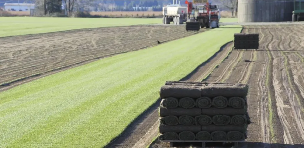 Affordable lawn mowing service experts serving Balch Springs, TX - Hammer Materials