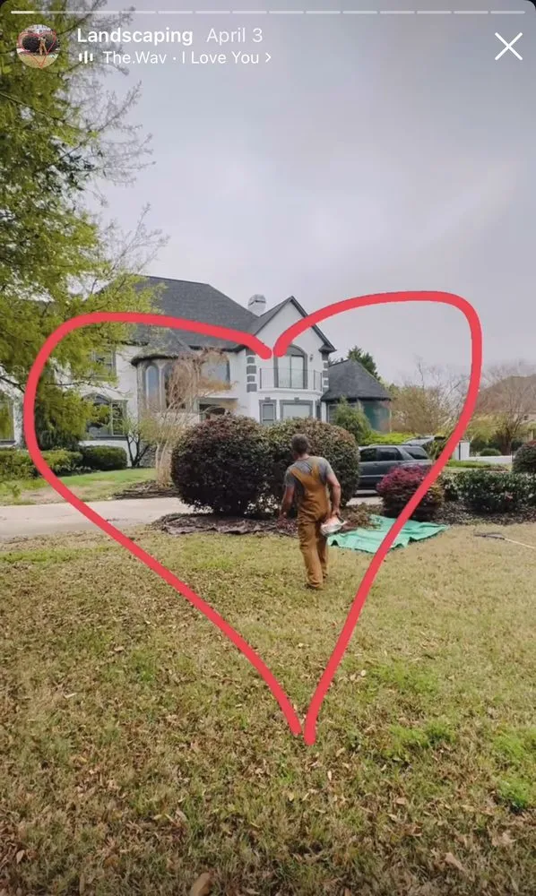 Professional yard cleanup service experts serving Mauldin, SC - Hammer Time Solutions