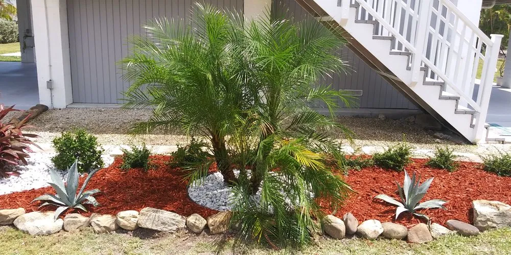 Professional lawn care service in Cudjoe Key, FL - Hammerhead Landscaping & Bobcat