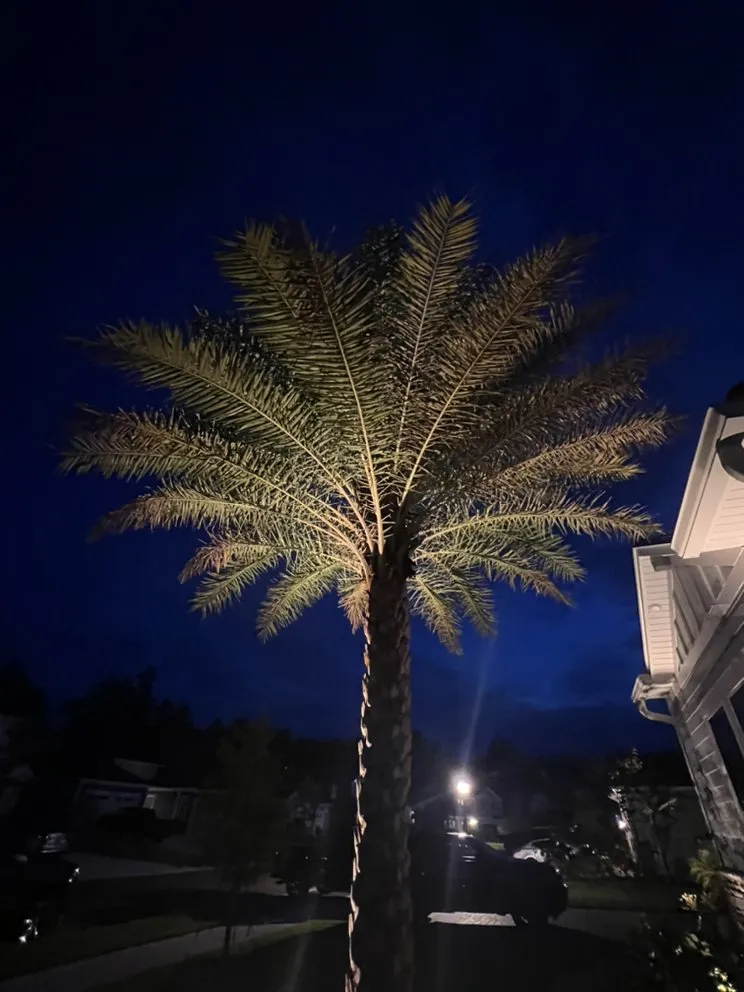 Custom lawn mowing service for year-round maintenance in Jacksonville Beach, FL by Hammerit Premier Outdoor Illumination