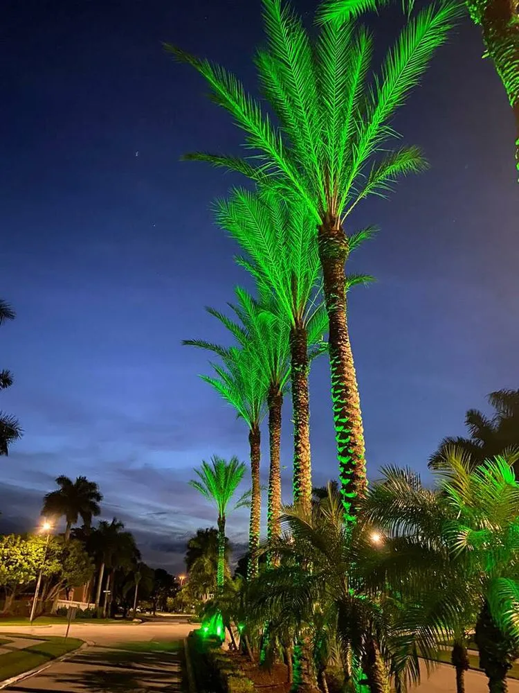 Local outdoor landscaping experts serving Jacksonville Beach, FL - Hammerit Premier Outdoor Illumination