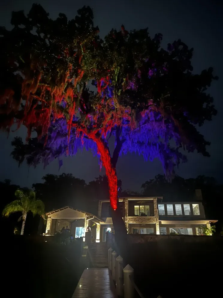 Professional residential landscaping in Jacksonville Beach, FL by Hammerit Premier Outdoor Illumination