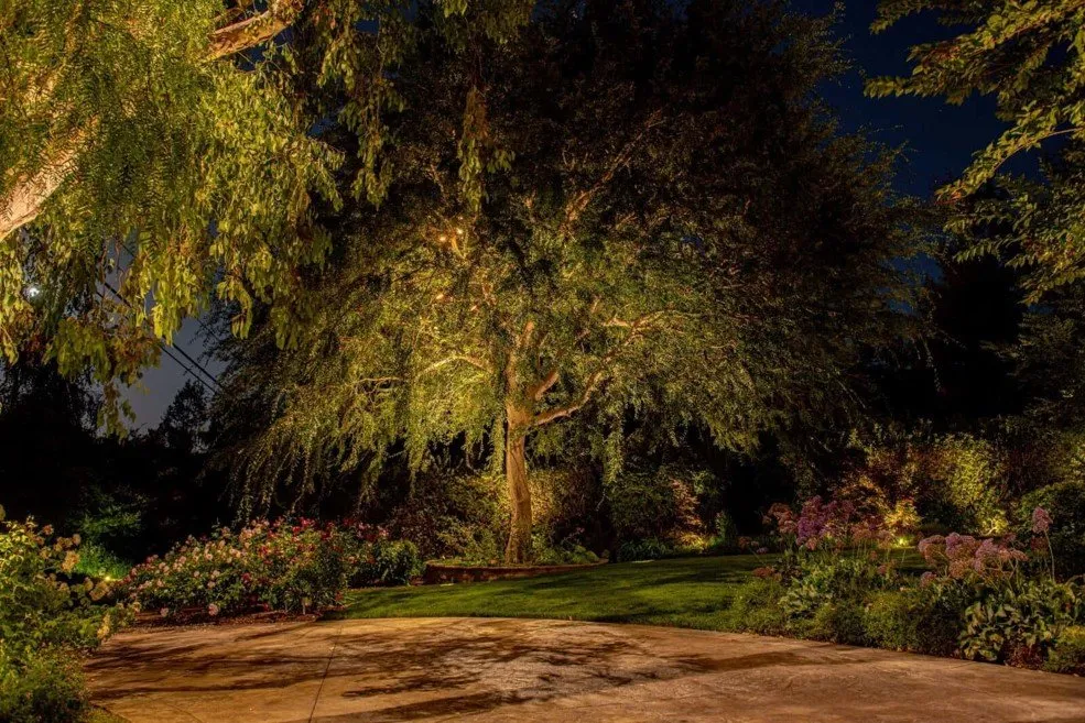 Reliable garden landscaping in Jacksonville Beach, FL by Hammerit Premier Outdoor Illumination