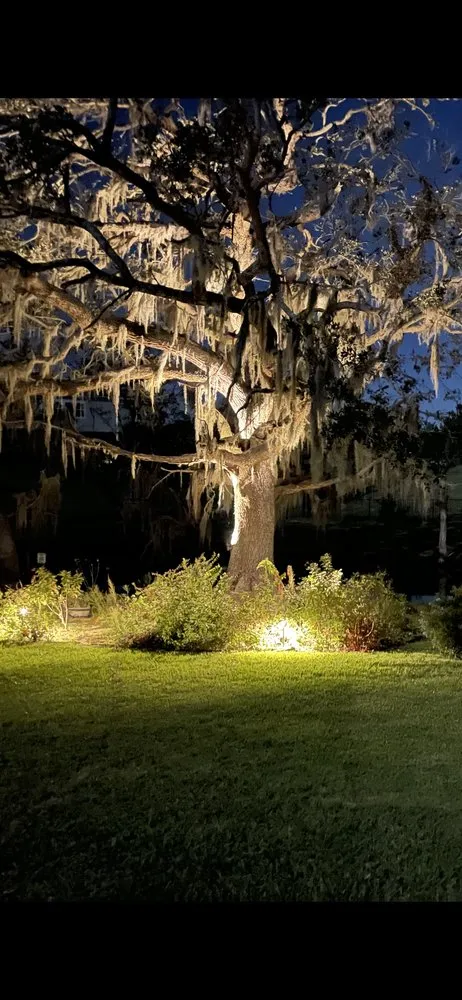 Reliable outdoor landscaping in Jacksonville Beach, FL - Hammerit Premier Outdoor Illumination