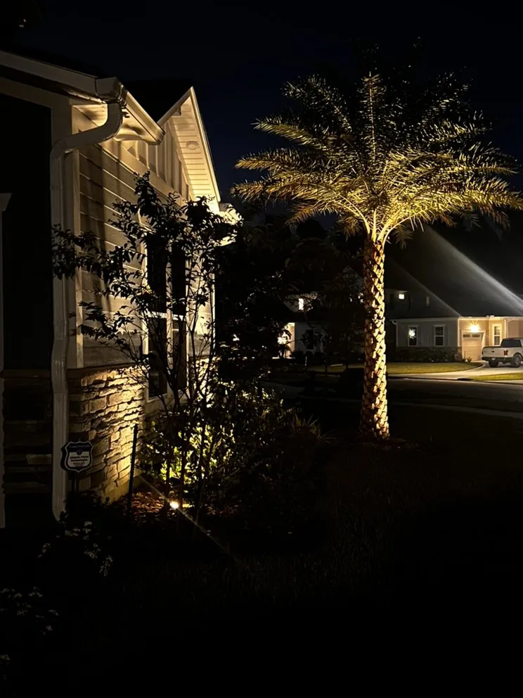 Trusted landscape installation in Jacksonville Beach, FL - Hammerit Premier Outdoor Illumination