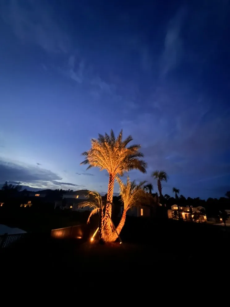 Trusted outdoor landscaping experts serving Jacksonville Beach, FL - Hammerit Premier Outdoor Illumination