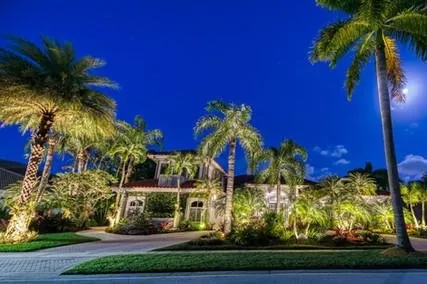 Professional landscape design for beautiful yards across Jacksonville Beach, FL - Hammerit Premier Outdoor Illumination