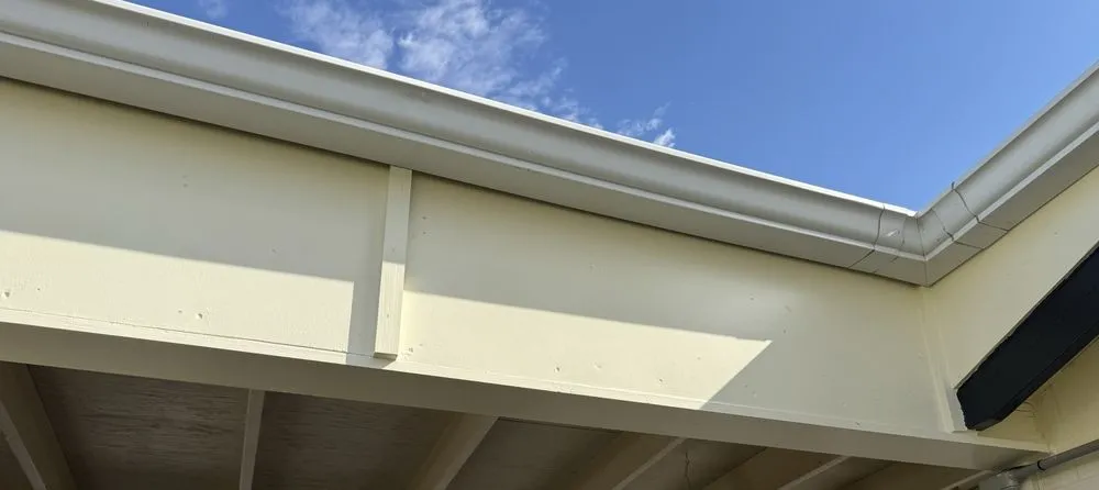 Expert yard maintenance in Tempe, AZ - Hammertime Handyman Services