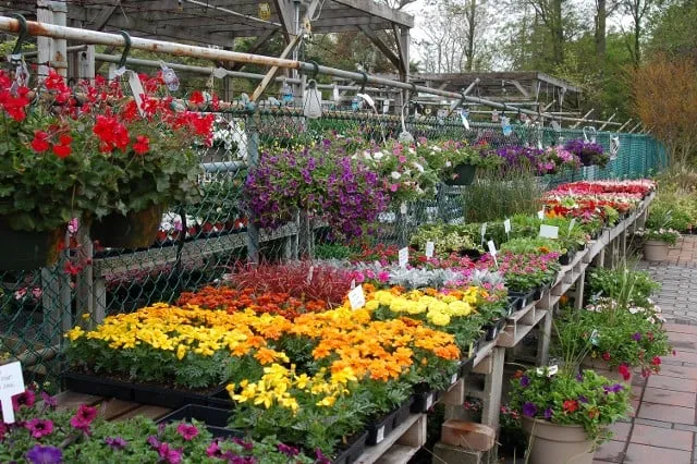 Professional landscape design experts serving Forked River, NJ - Hammett's Landscaping & Garden Center