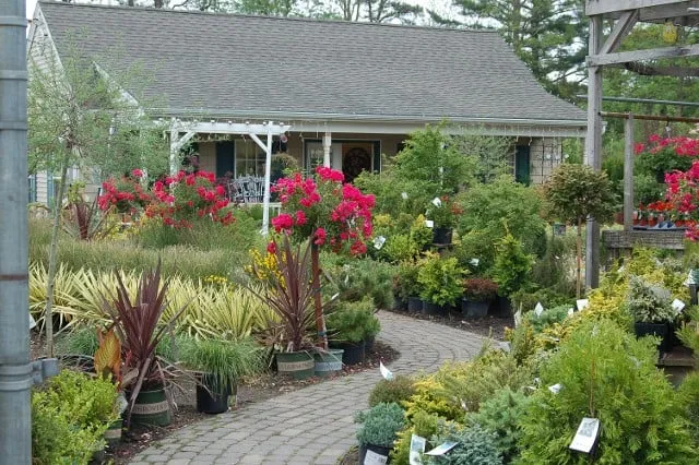Trusted landscaping services for residential properties in Forked River, NJ by Hammett's Landscaping & Garden Center