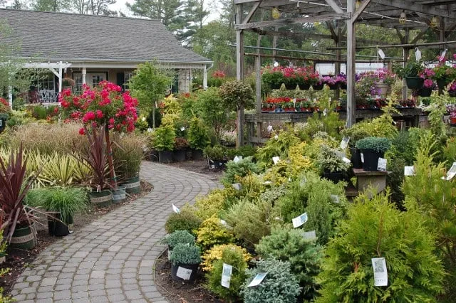 Professional landscape installation in Forked River, NJ by Hammett's Landscaping & Garden Center