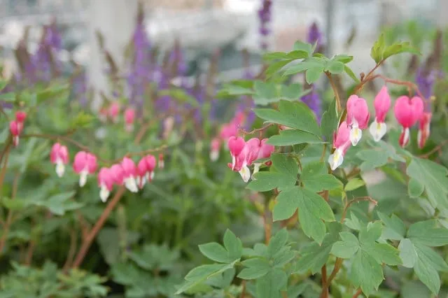 Professional landscaping services in Forked River, NJ by Hammett's Landscaping & Garden Center