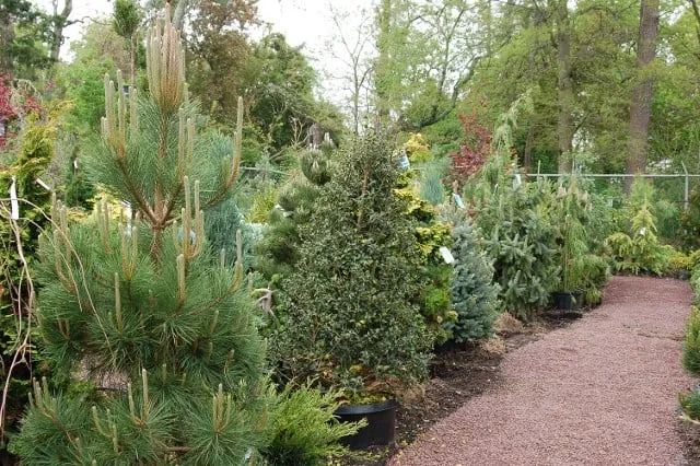 Custom lawn mowing service for year-round maintenance in Forked River, NJ by Hammett's Landscaping & Garden Center