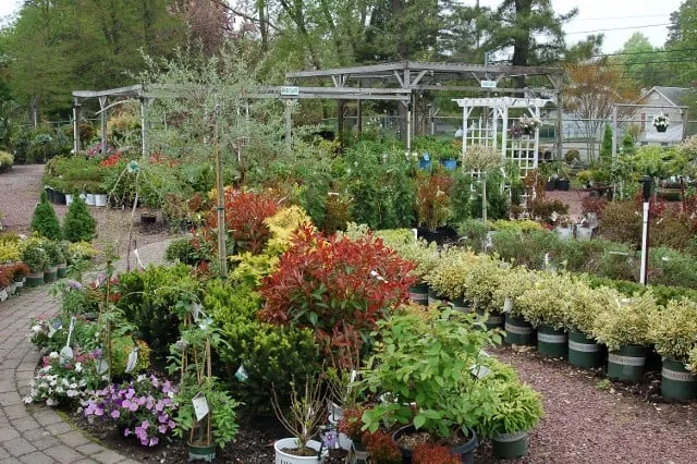 Affordable yard cleanup service in Forked River, NJ - Hammett's Landscaping & Garden Center