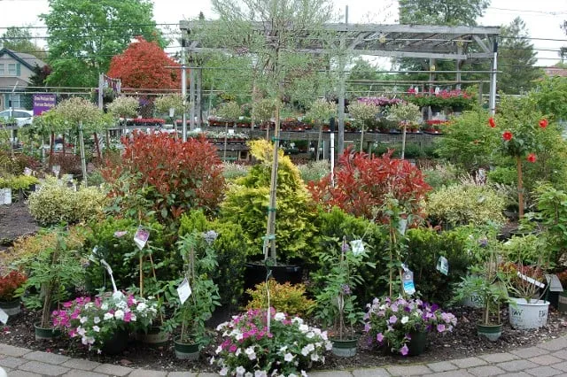 Top-rated landscape design for outdoor upgrades in Forked River, NJ by Hammett's Landscaping & Garden Center