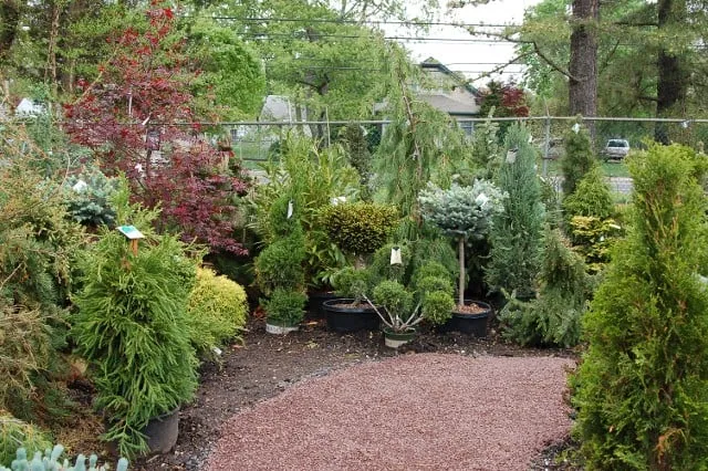 Affordable yard cleanup service in Forked River, NJ - Hammett's Landscaping & Garden Center