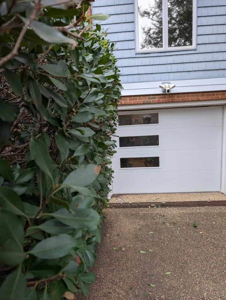 Expert yard maintenance in Suffolk, VA - Hammock Homes