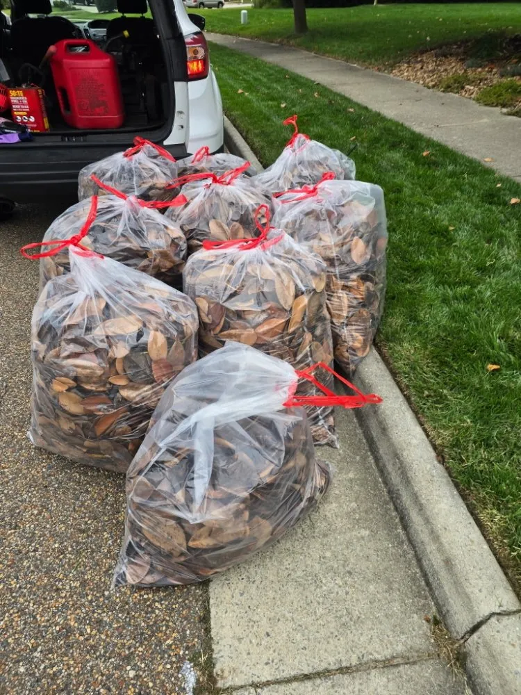 Affordable yard maintenance in Suffolk, VA by Hammock Homes