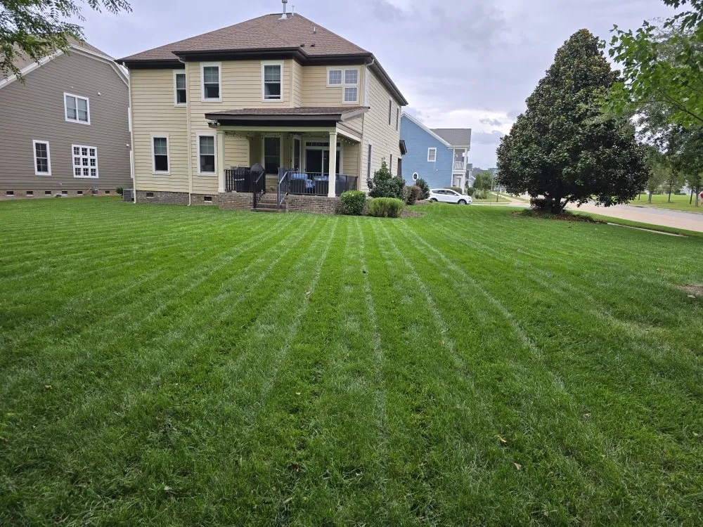 Affordable yard maintenance in Suffolk, VA - Hammock Homes
