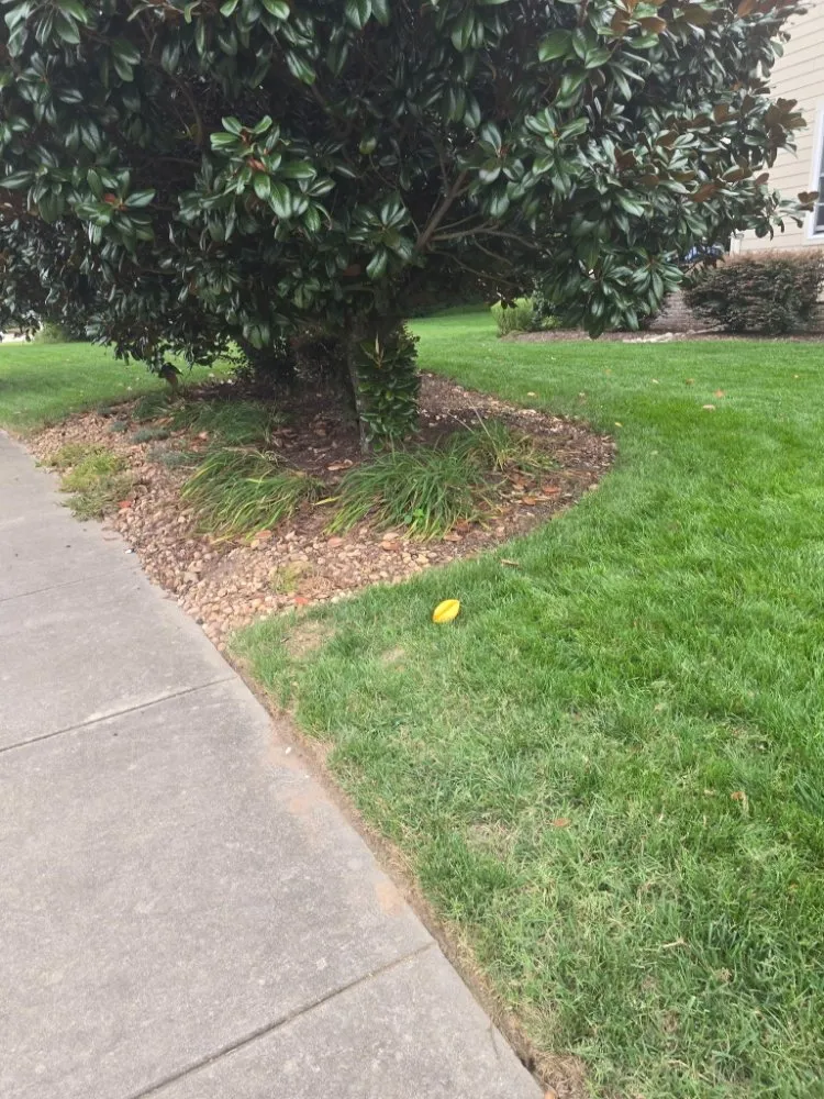 Custom residential landscaping in Suffolk, VA - Hammock Homes