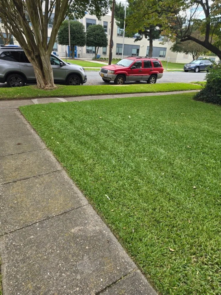 Top-rated residential landscaping experts serving Suffolk, VA - Hammock Homes