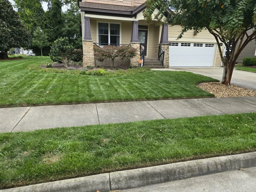 Expert garden landscaping for year-round maintenance across Suffolk, VA - Hammock Homes