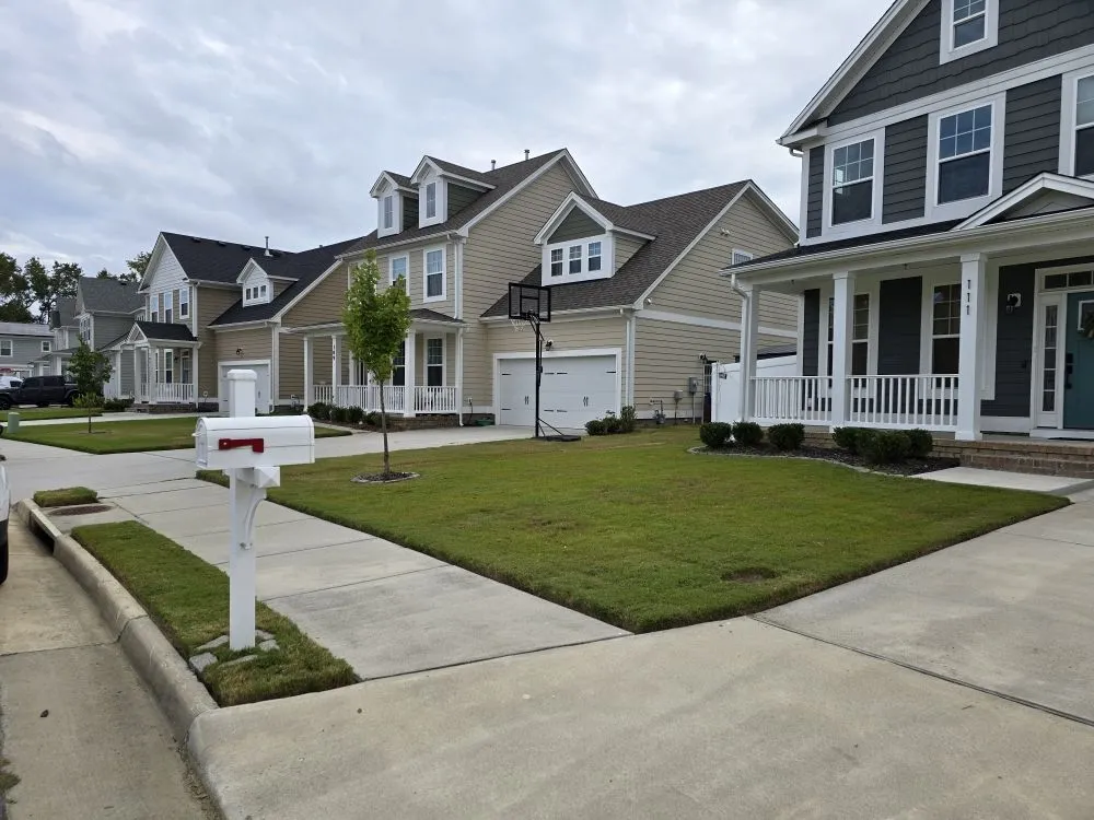 Professional landscaping services in Suffolk, VA - Hammock Homes