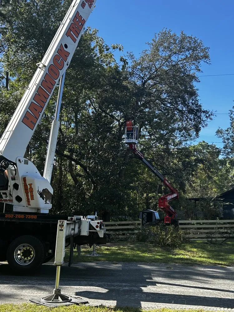Trusted yard maintenance for homes in Dunnellon, FL by Hammock Tree Service