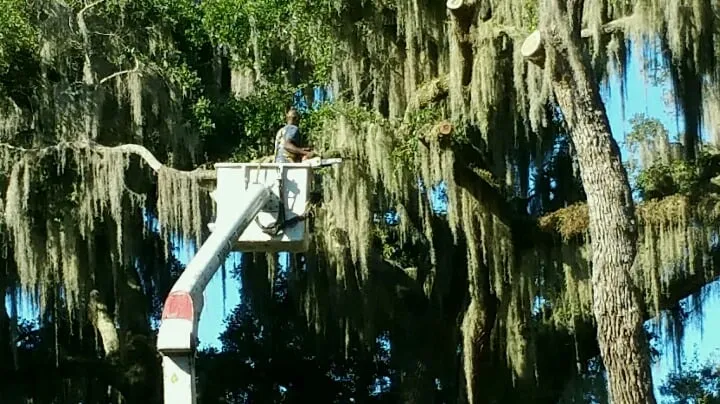 Trusted garden landscaping in Dunnellon, FL - Hammock Tree Service