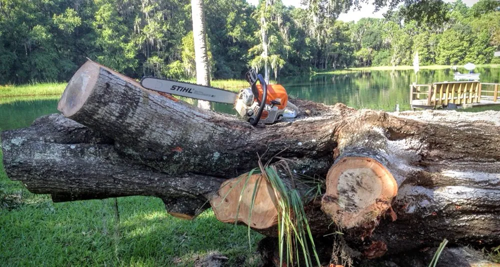 Trusted garden landscaping in Dunnellon, FL - Hammock Tree Service