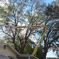 Affordable landscaping services for homes in Dunnellon, FL by Hammock Tree Service