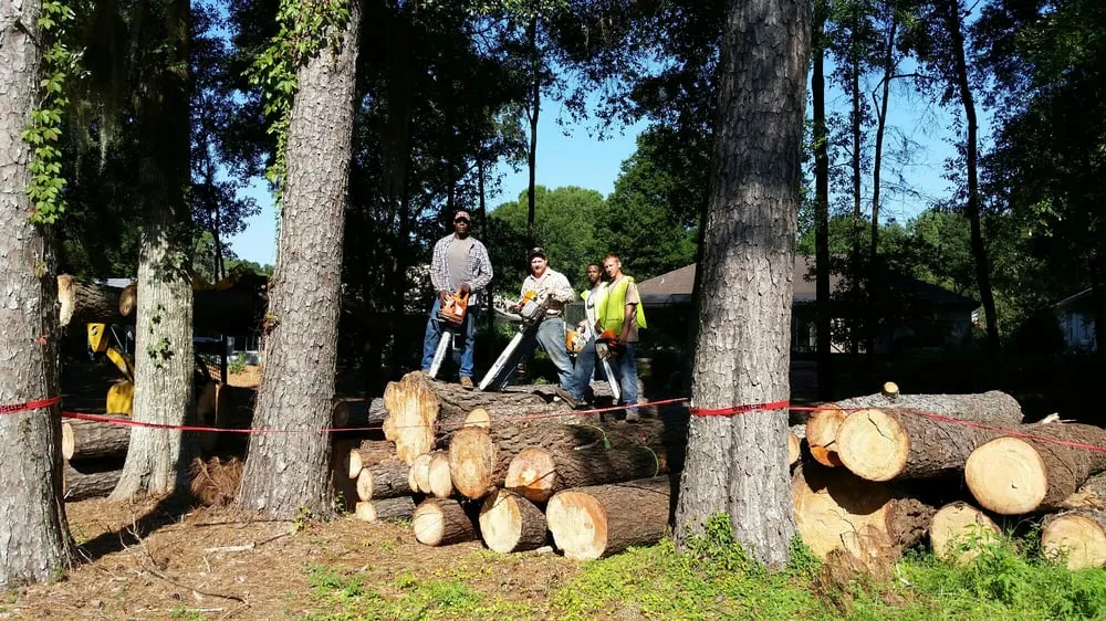 Top-rated landscaping services experts serving Dunnellon, FL - Hammock Tree Service