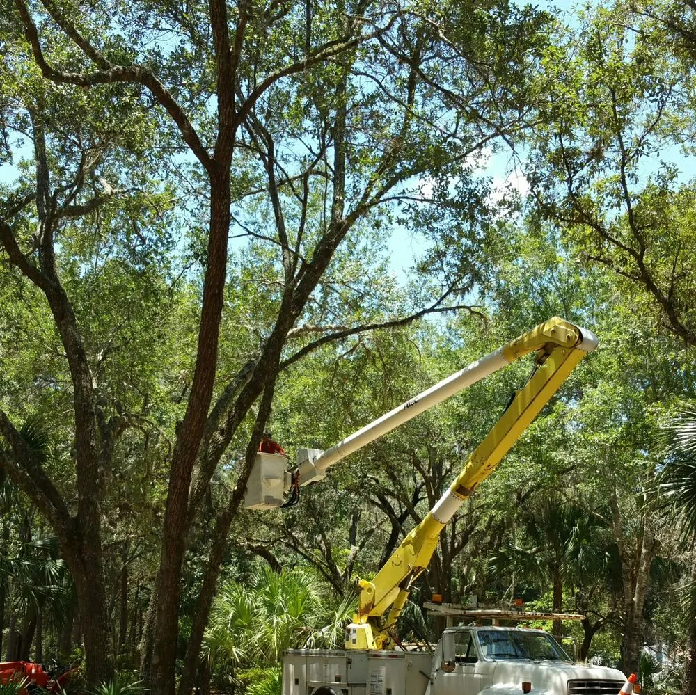 Custom residential landscaping for year-round maintenance across Dunnellon, FL - Hammock Tree Service