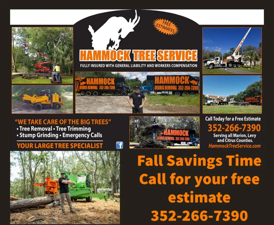 Trusted residential landscaping experts serving Dunnellon, FL - Hammock Tree Service