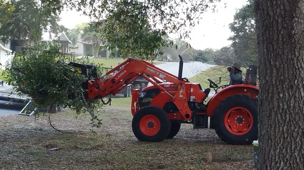 Custom outdoor landscaping experts serving Dunnellon, FL - Hammock Tree Service