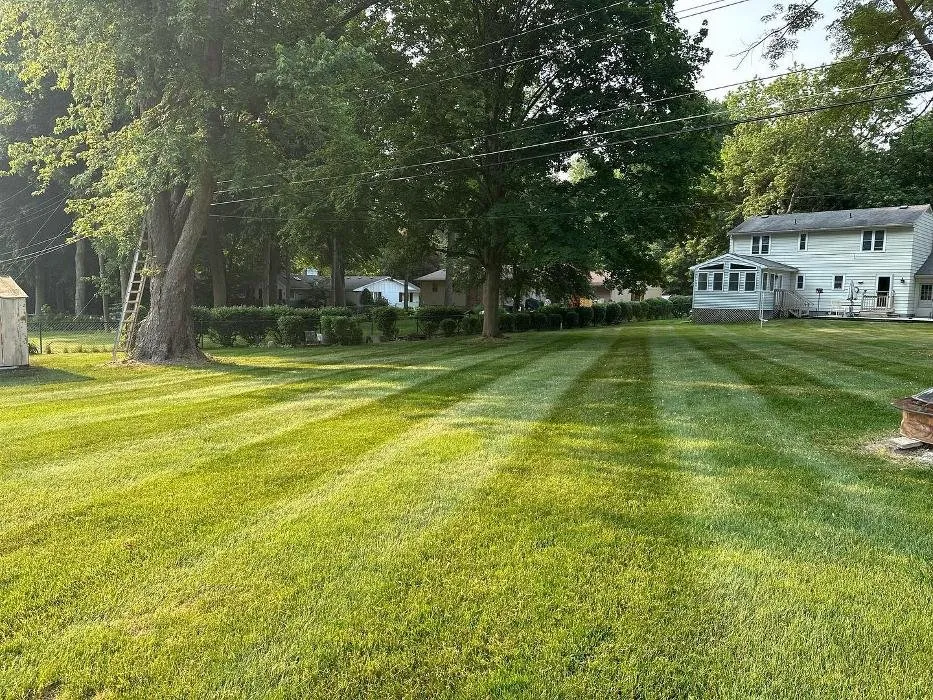 Top-rated outdoor landscaping for homes across Okemos, MI - Hammond Landscape