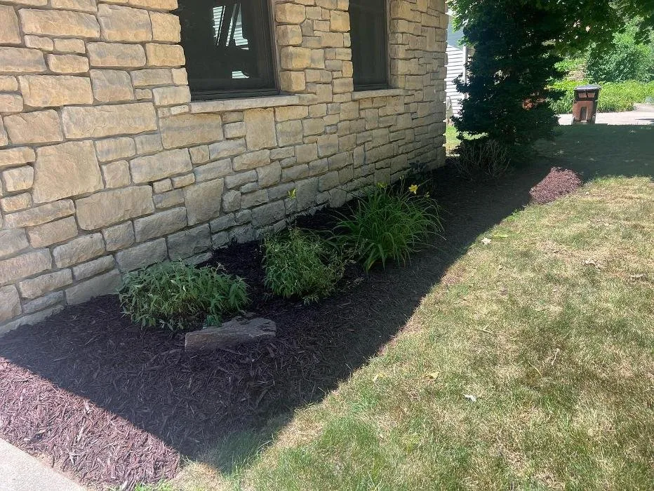 Trusted yard cleanup service experts serving Okemos, MI - Hammond Landscape