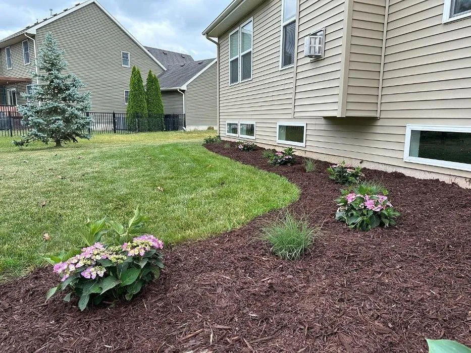 Affordable lawn care service in Okemos, MI - Hammond Landscape